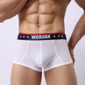 Ice Silk Men's New Boxers Ultra-thin Fashion Transparent